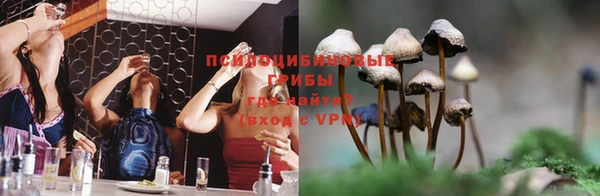 винт Ладушкин