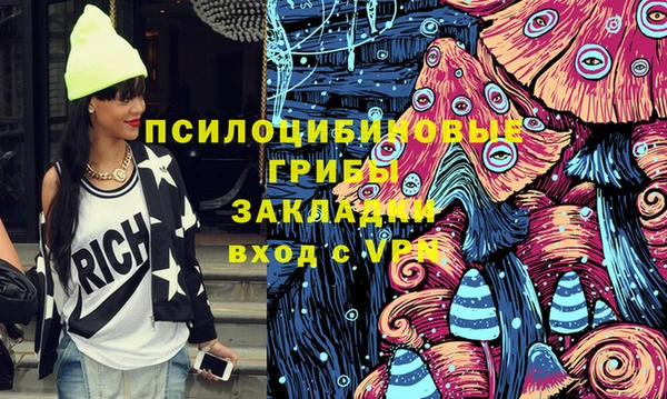 винт Ладушкин