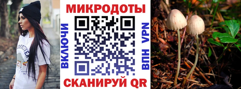 Галлюциногенные грибы MAGIC MUSHROOMS  наркота  Нерчинск 